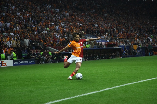 這個噩耗不 這個噩耗不