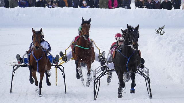 欧洲杯赛场 欧洲杯赛场