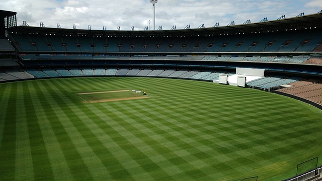 部分新星的 部分新星的