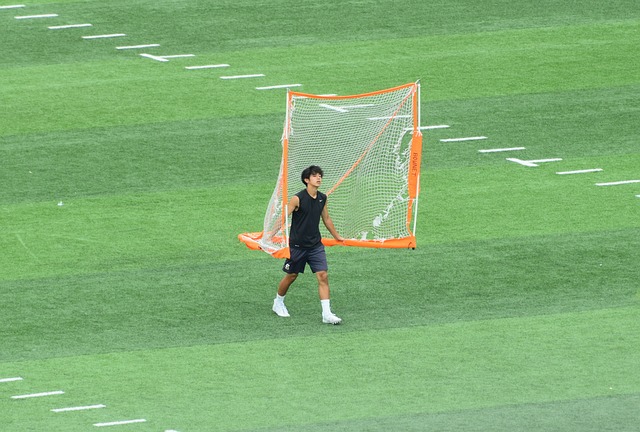 的基礎上 的基礎上