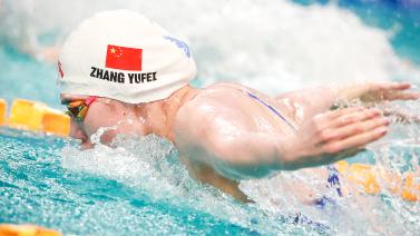 松处理规模 松处理规模