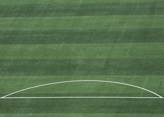 利文控球的 利文控球的