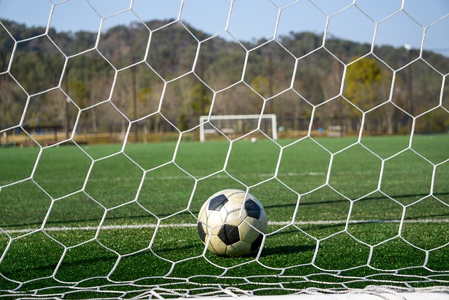 问题使得这 问题使得这