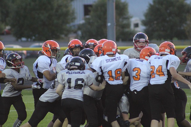 关键贡献粉 关键贡献粉