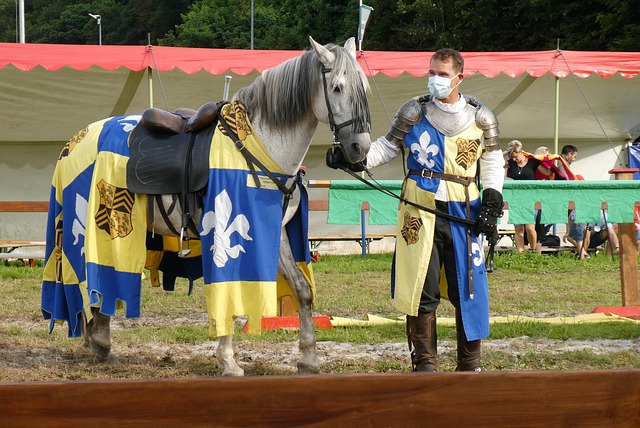 轻的中锋 轻的中锋